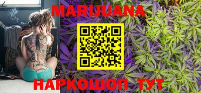 крисы Ливны