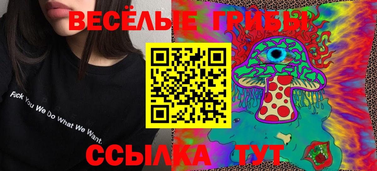 даркнет сайт  Псилоцибиновые грибы Psilocybine cubensis  Вход с VPN  Шахты 